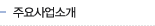 주요사업소개